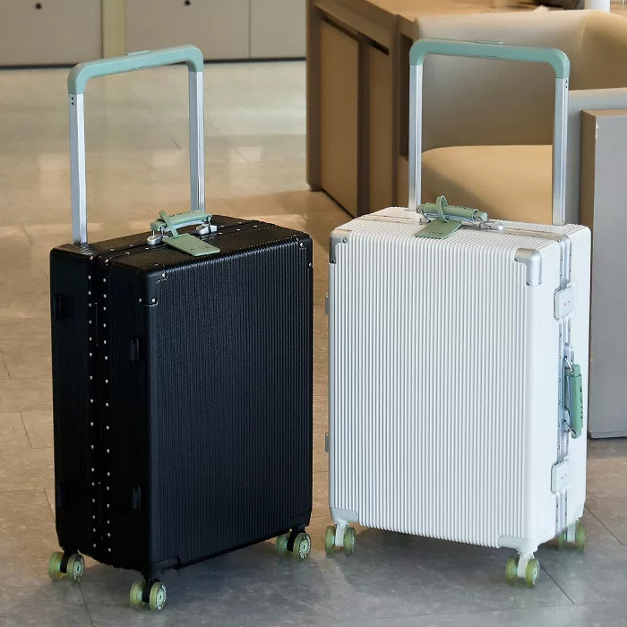 Reiskoffer met brede handgreep - Spinner Wheel Rolling Suitcase 20 Inch recensie en prijs